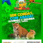 Sem Cordas, com Abadá! Carnaval 2024